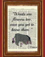 Eeyore Winnie the Pooh Dictionary Art Print Picture Poster Weed Quote Nursery