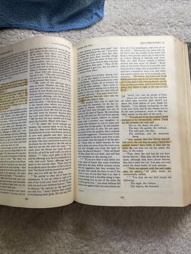 The Living Bible Paraphrased TYNDALE 1972 Green Padded Book HC - Picture 14 of 15