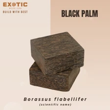 2 Pcs, Black Palm Bowl Blanks 6x 6x 3 Wood Turning Blocks- Free US Shipping
