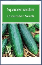Spacemaster 80 Cucumber Seeds | Fresh NON-GMO Cucumber Seeds Heirloom Seeds