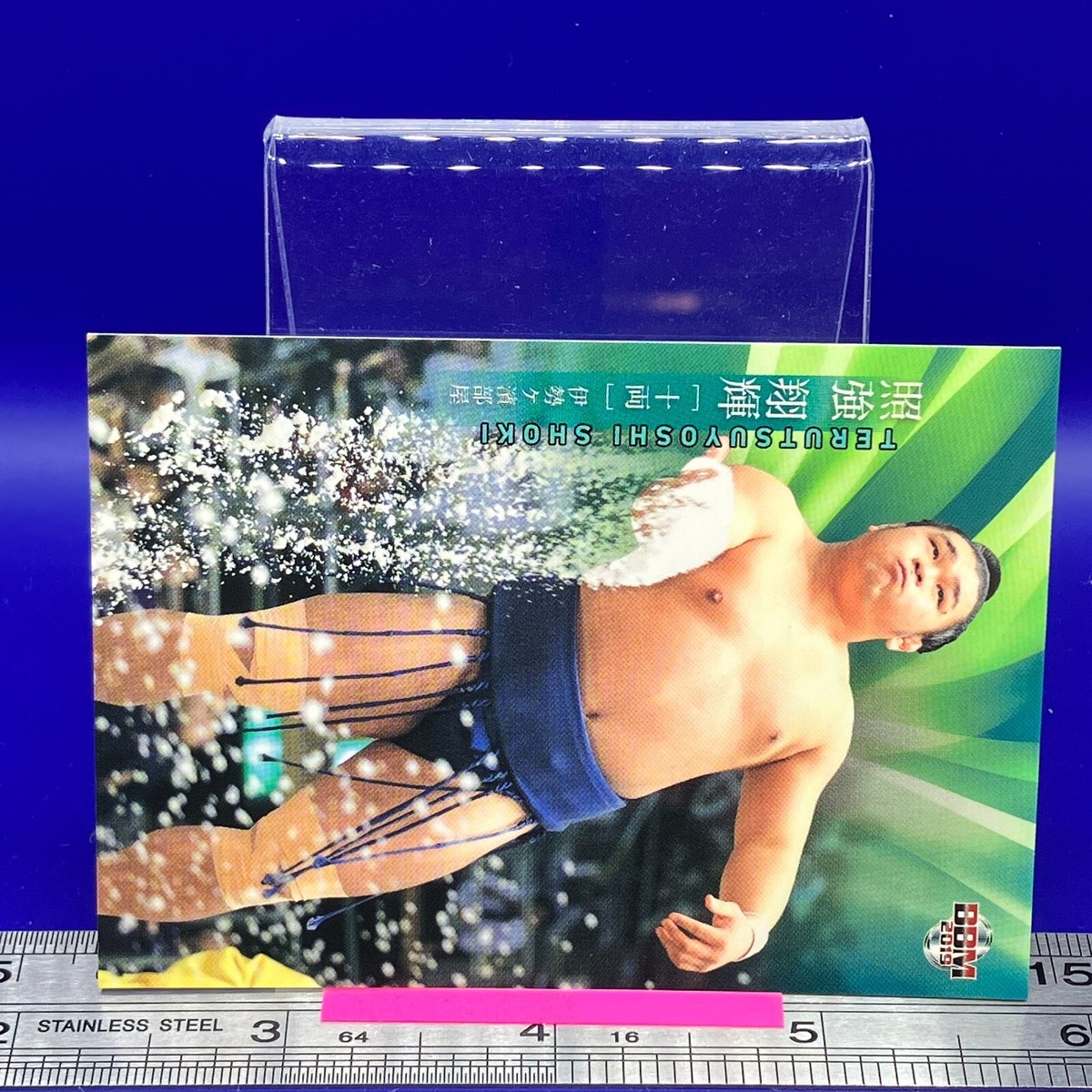 Terutsuyoshi Shoki 52 Sumo Wrestler Trading Card BBM 2019 TCG