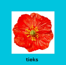 Tieks Flower, Poppy Flower, Box Topper, Flower Design
