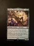 Lluwen, Imperfect Naturalist NM Legendary Rare MTG Lorwyn Eclipsed [ECL] Regular