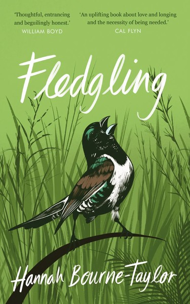 Fledgling | Hannah Bourne-Taylor | Englisch | Buch | Gebunden | 2022-image