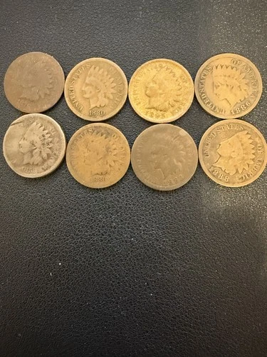 (8) Pre 1900 Indian Head  Pennies. Plus 56 Indian Head Pennie 1900 To 1909