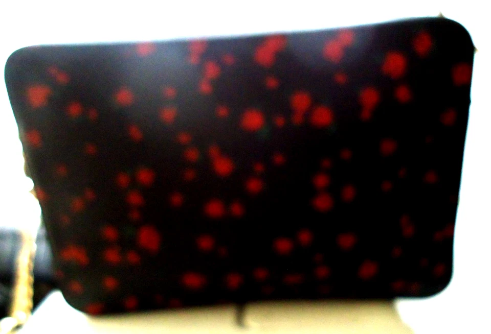 MICHAEL KORS BLACK CROSSBODY BAG RED ROSES SELMA NWOT AUTHENTIC 100% - Image 3 of 4