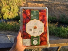 1 kg Premium Khalas Dates–Vacuum Sealed | AlQassim Saudi Dates | Fresh & Natural