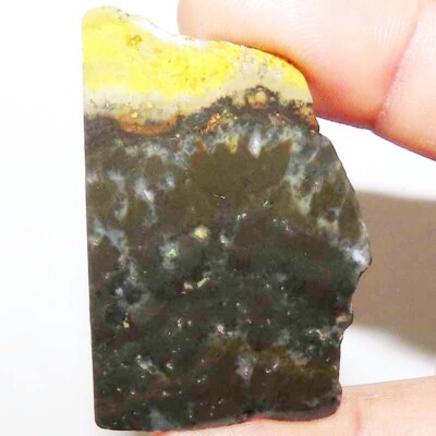 100% Natural BUMBLE BEE JASPER Rough Cabochon Gemstone 75.40 CTS 36X54X4mm BC-58