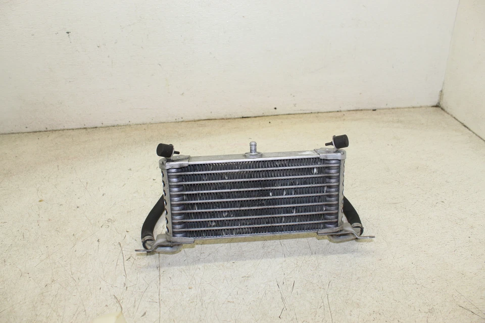 BMW S1000RR 2012 OEM motor enfriador de aceite P3 Foto 2 de 4