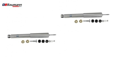 SET: 2 STOßDÄMPFER HINTEN L. + R. PONTIAC FIREBIRD 1982-2002