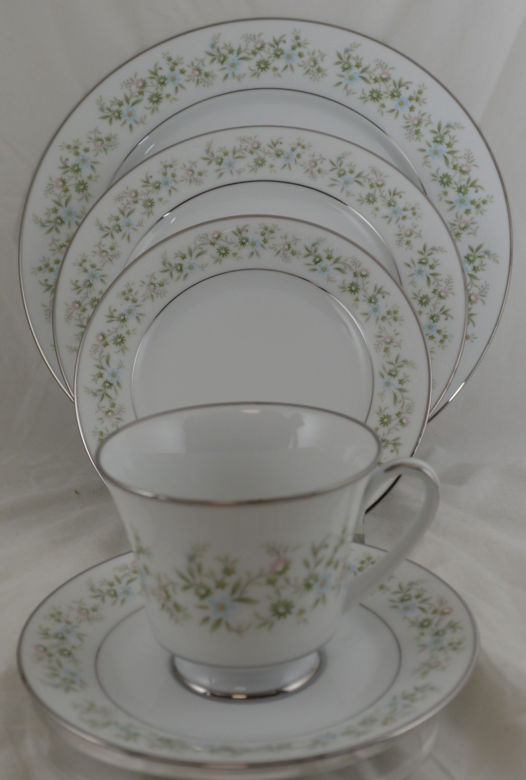 Ting Savannah (rim, Platinum) By Noritake 2031