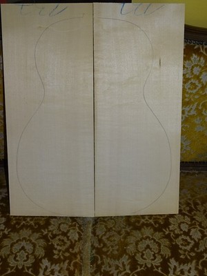 Tonholz, Tonewood, legname pregiato, klasse bayer Fichte für Gitarre
