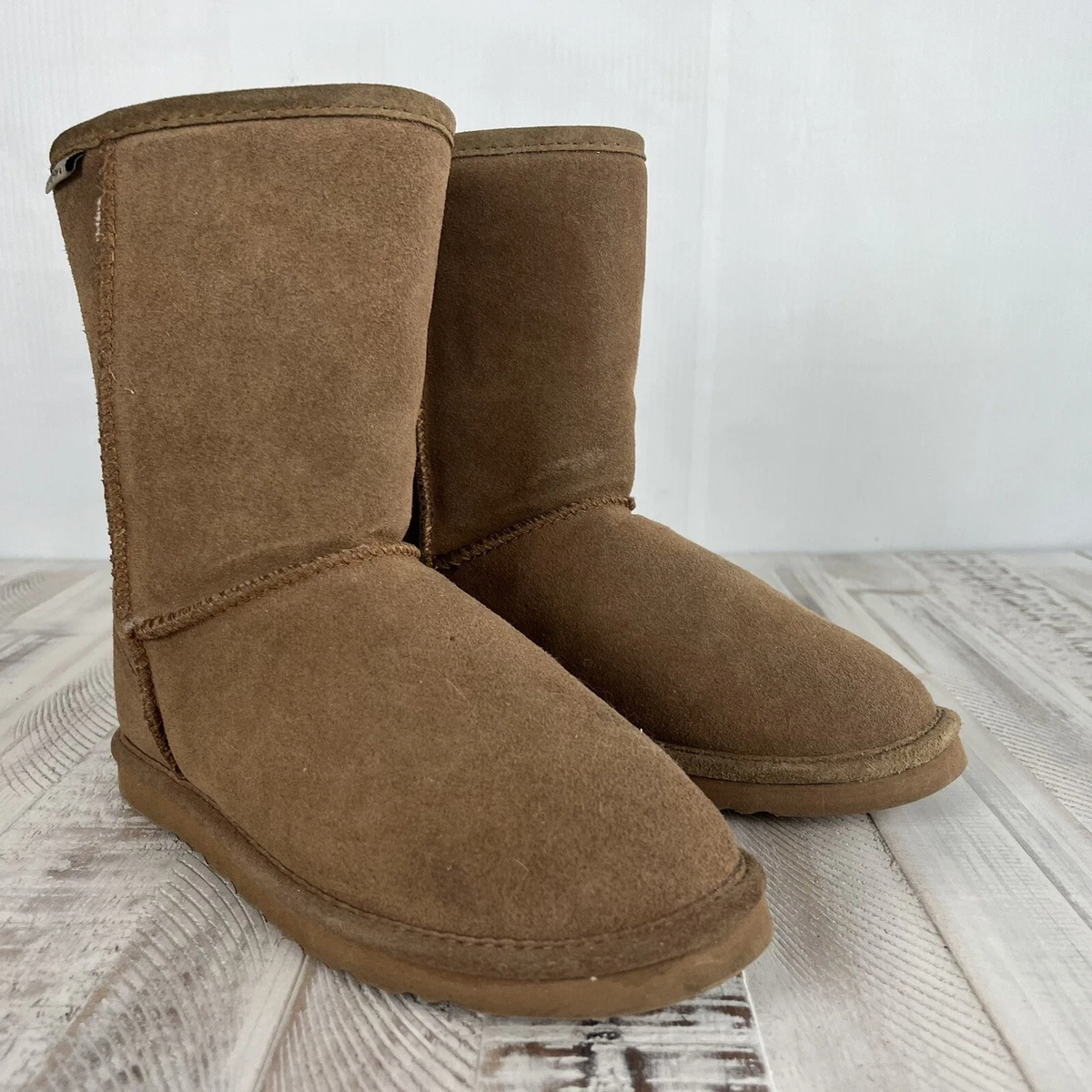 Brown bearpaws 2025