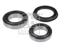 Febi Bilstein 173670 Radlager Satz FüR Ford, Nissan