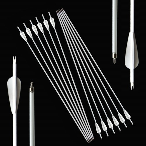 30 Zoll Weiß Carbonpfeile Jagdpfeile SP500 Vanes Zielschießen Recurve Bogensport - Picture 13 of 14