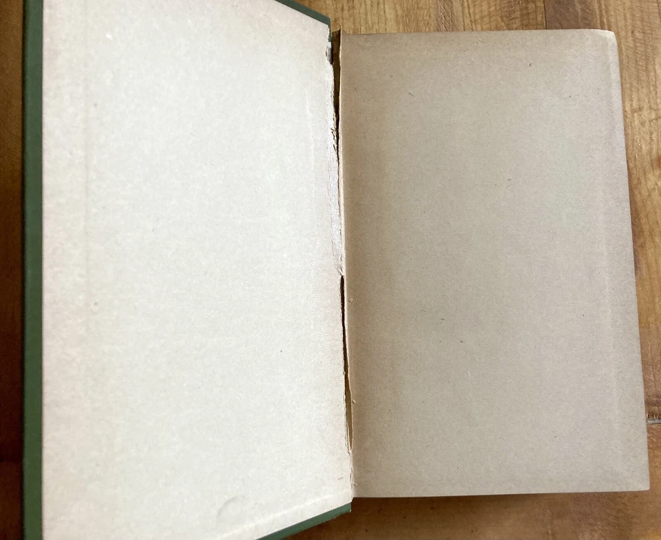 HAWTHORNE’S WORKS: FIRESIDE EDITION 1881 NATHANIEL CLASSIC LITERATURE STORIES Foto 2 de 4