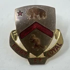 WW2 US Army Military 301st Cavalry Regiment Distinctive Insignia Pin