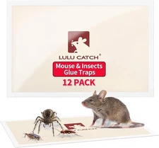 Mice Glue Traps Pest Sticky Boards 72 MAX Trap Catch Spiders Insects,12PCS