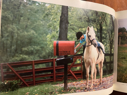 Country/USA 24 Hours in Rural America Photo book - Picture 5 of 11