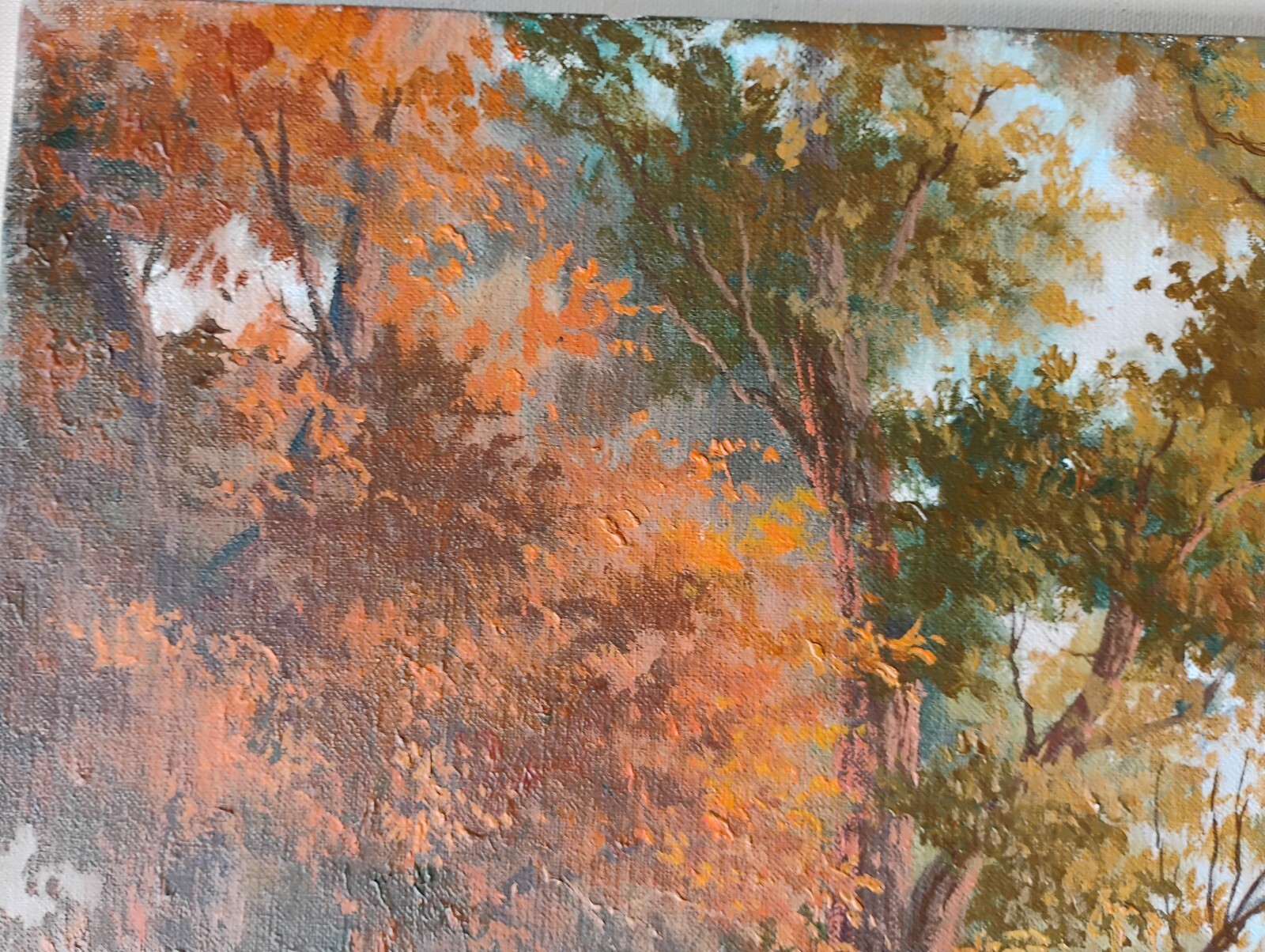 Picture 3 of 6
