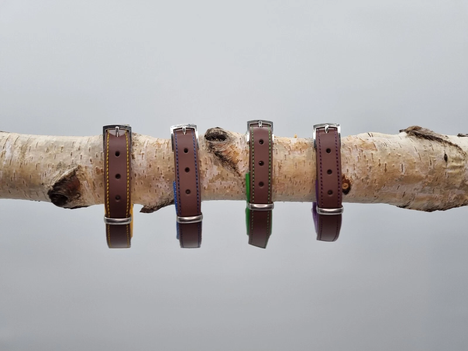 Limited Edition Luxury Padded Leather Flat Dog Collars - HAND MADE IN THE UK