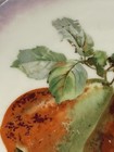 Beautiful Vintage Pear Wall Plate Hand Painted Antique Rare — photo 4