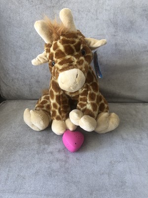 teddy bear that you can record on