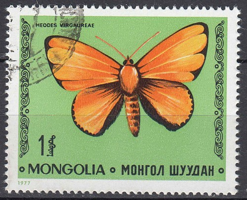 Mongolei Briefmarke gestempelt Schmetterling Insekt Feuerfalter Heodes / 186