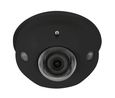Luma LUM-310-DOM-IP-BL Surveillance 310 Dome IP Outdoor Camera (Black)
