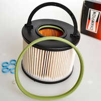 Champion CFF101563 Kraftstofffilter FüR VW Audi Porsche