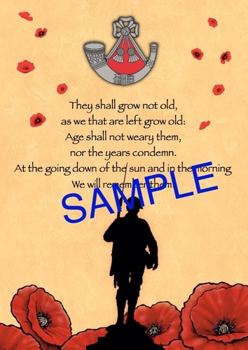 Regimental Poppy A4 Photo print. Royal Scots. - Picture 5 of 9