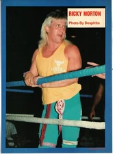 NWA NATIONAL WRESTLING ALLIANCE PINUP #1 (1988) RICKY MORTON ROCK & ROLL EXPRESS