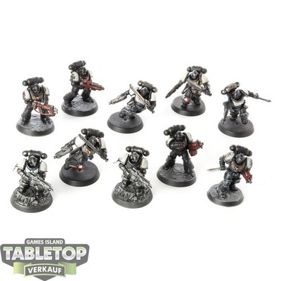 Black Templars - 10 x Primaris Crusader Squad - bemalt