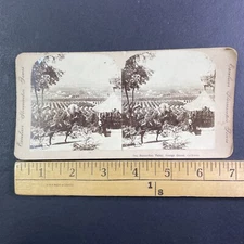 San Bernardino California Stereoview Valley View Antique c1880s Y10406 WARPED