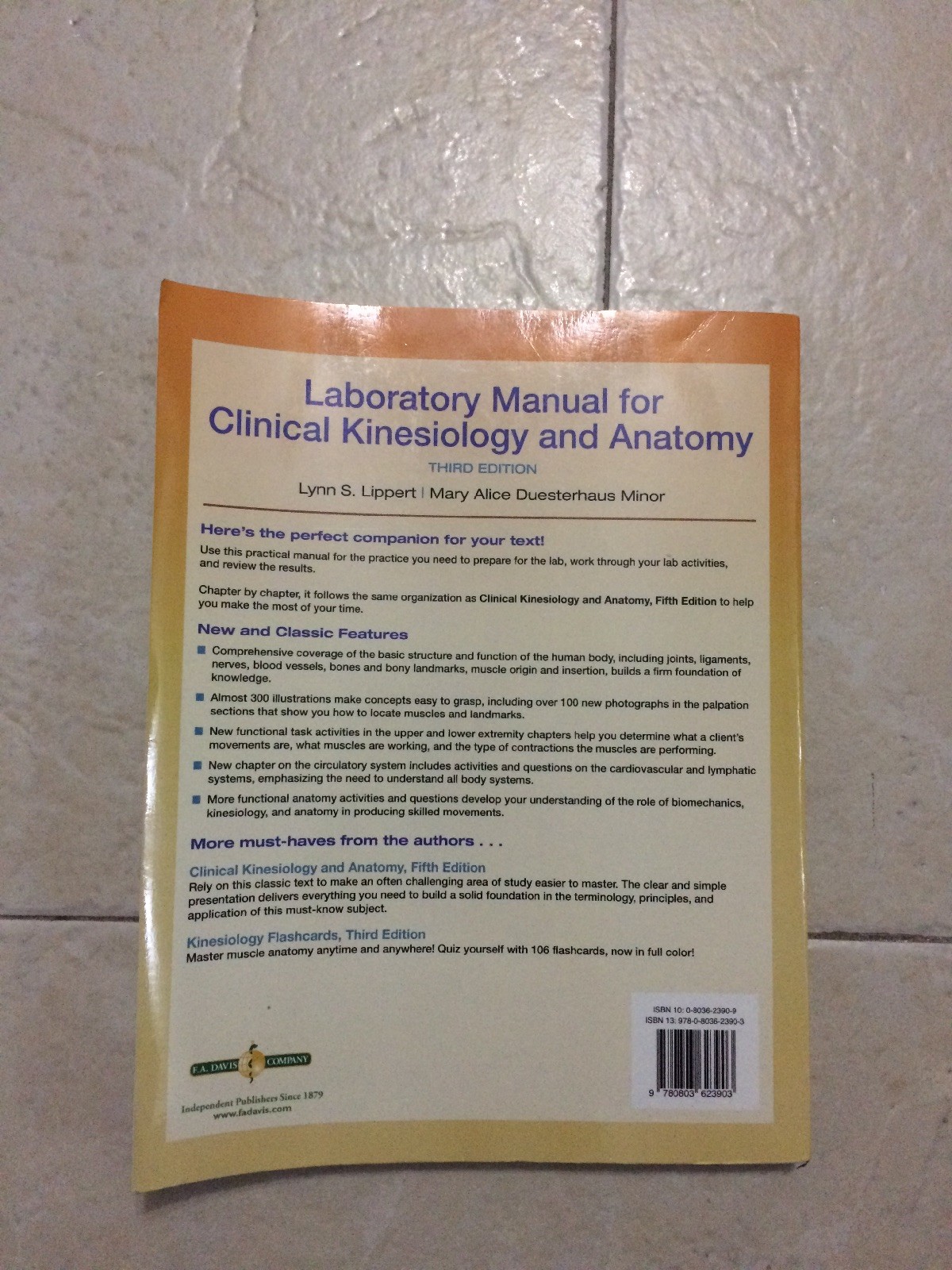 Buy Laboratory Manual for Clinical Kinesiology and Anatomy by Lynn S.  Lippert and Mary Alice Duesterhaus Minor (2011, Paperback, Revised) online  | eBay