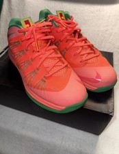 Detailed Nike LeBron X EXT Guide and Hot Auctions  4