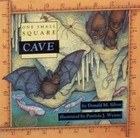 Cave (One Small Square) - Hardcover By Silver, Donald M. - GOOD