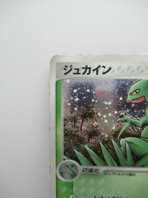 てて Pokemon Card Sceptile - 003/055 Japanese 1st Edition | eBay