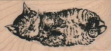 Kitty Sleeping 1 1/2 x 2 3/4" Rubber Stamp, Animal Stamp, Cat Stamp