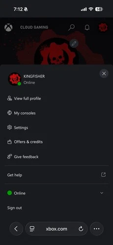 Xbox Gamer Tag: KingFisher: V1