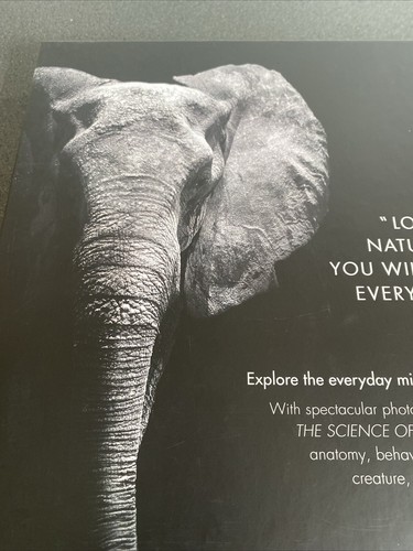 The Science of Animals: Inside their Secret World Hardback 255x305mm - Picture 5 of 15