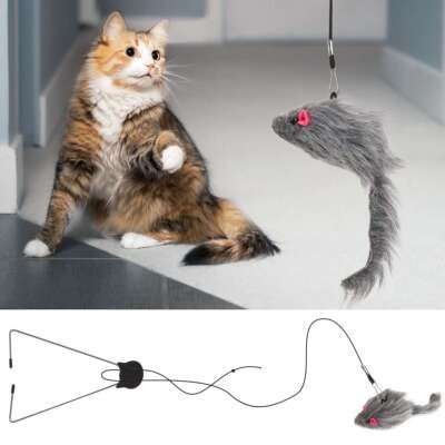 Hanging Interactive Cat Teaser Toy Retractable Cats Kitten Play Chase Exercise