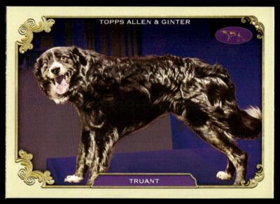 2024 Topps Allen & Ginter SOS-4 Truant Dog Baseball Card