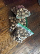Fresh Hickory Nuts