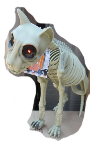 Skeleton Graveyard Halloween Animals, Scary, Sturdy reuse, Owl, Rat, Dragon, Bat - Picture 3 of 52