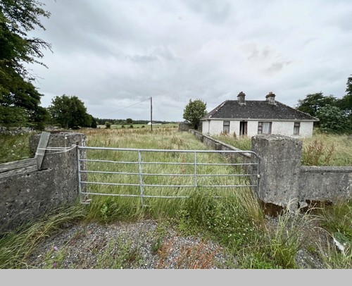 *PROJECT* - Property for sale in Ireland with 1 acre of land - Picture 2 of 18
