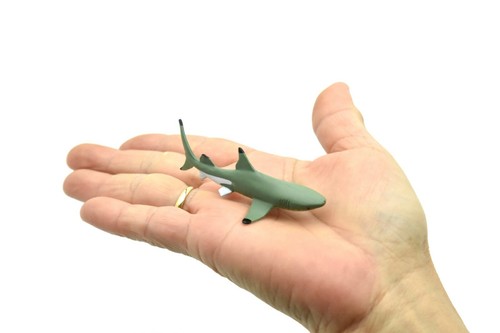 Black Tip Reef Shark, Very Nice Plastic Replica 3" - F233 B76 - Picture 3 of 8