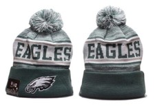 Philadelphia Eagles Collecting and Fan Guide 31