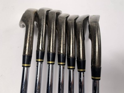 Titleist 710 AP2 Custom Iron Set 3-PW Dynamic Gold X100 Extra