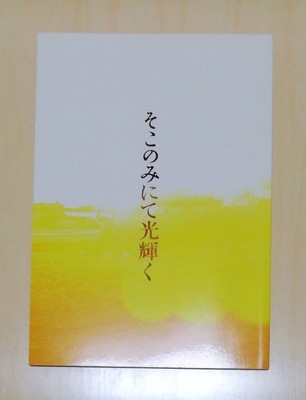 Movie Brochure Shine Only There Ayano Go Chiharu Ikeiwaki Masaki Suda